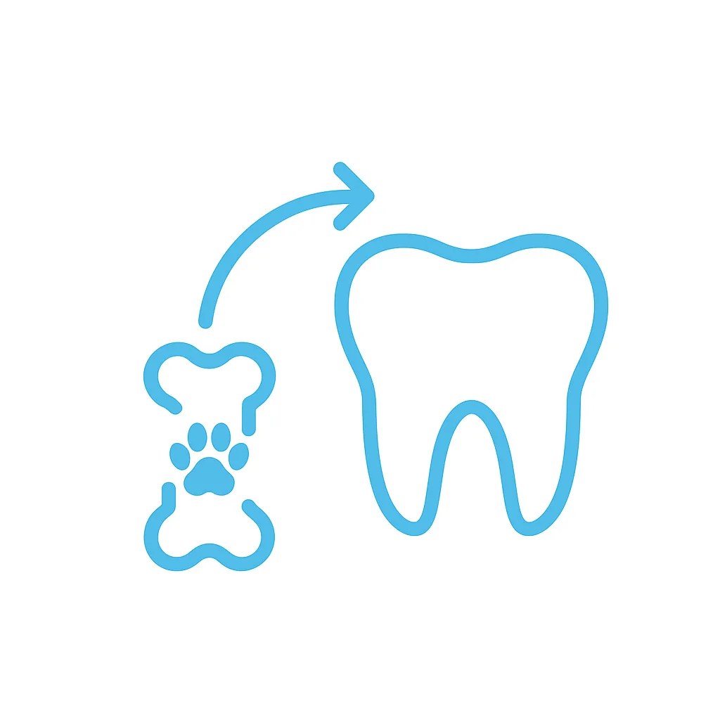 injertos de origen animal, Xenoinjertos